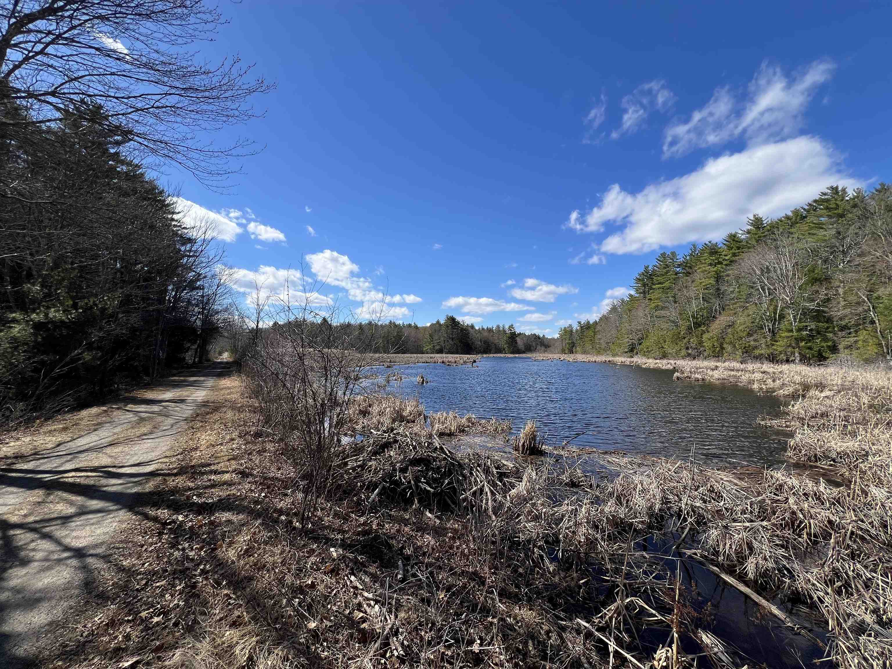 19 Hall's Mill Road Newfields, NH 03856 - Photo 56 of 62
