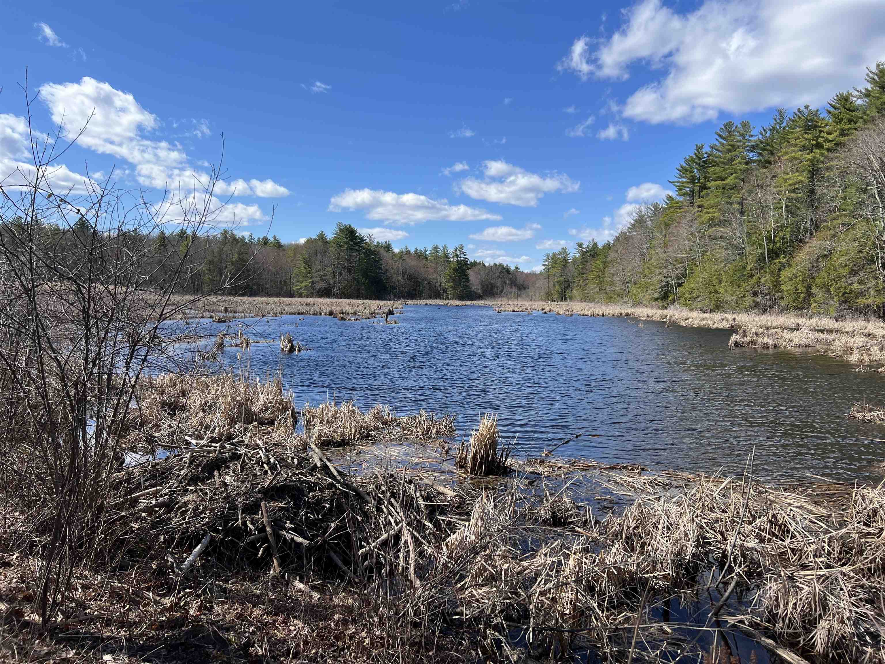 19 Hall's Mill Road Newfields, NH 03856 - Photo 57 of 62