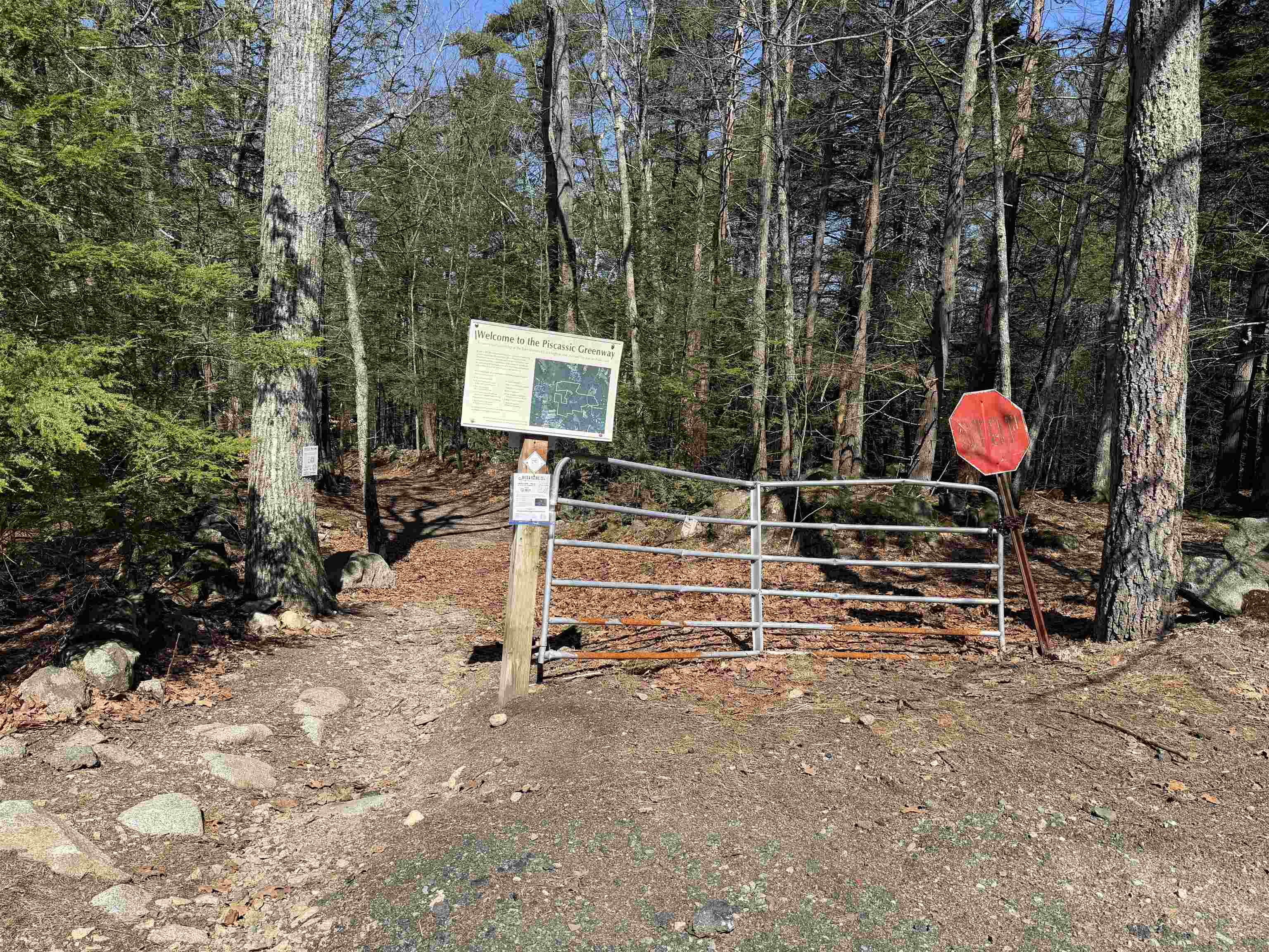 19 Hall's Mill Road Newfields, NH 03856 - Photo 58 of 62