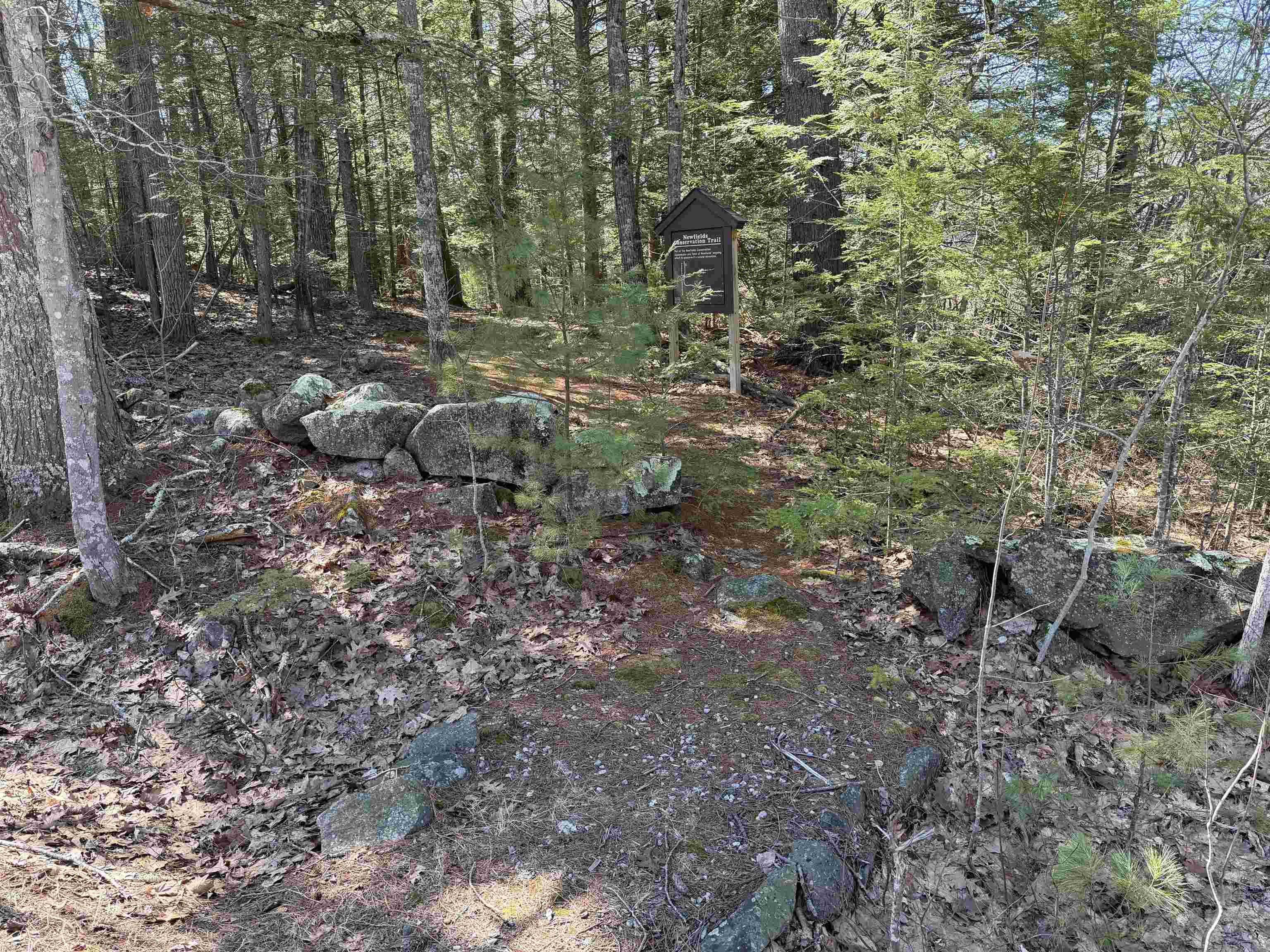 19 Hall's Mill Road Newfields, NH 03856 - Photo 62 of 62