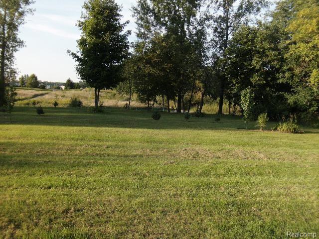 2630 Tozer Road North Branch, MI 48461 - Photo 21 of 24 Front Yard 1