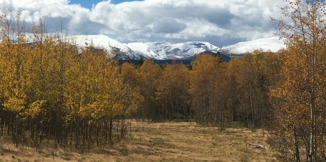 972 Lumberjack Road Fairplay, CO 80440 - Photo 1 of 25 Snowcapped Mosquito Mountain Range facing West