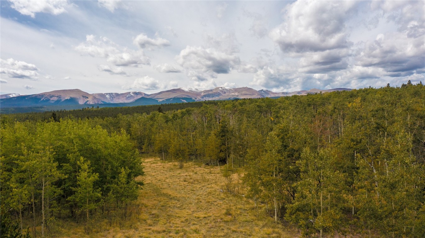 972 Lumberjack Road Fairplay, CO 80440 - Photo 12 of 25 Gallery Image 12
