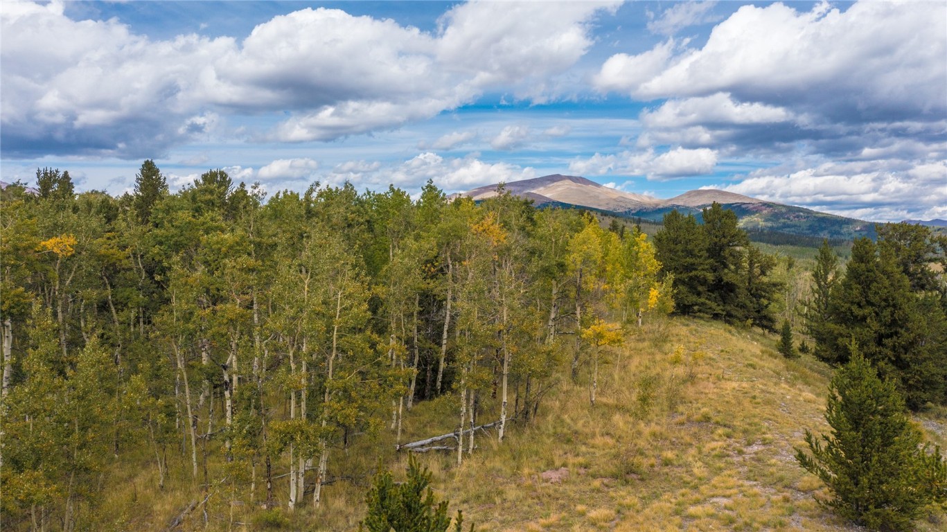 972 Lumberjack Road Fairplay, CO 80440 - Photo 13 of 25 Gallery Image 13