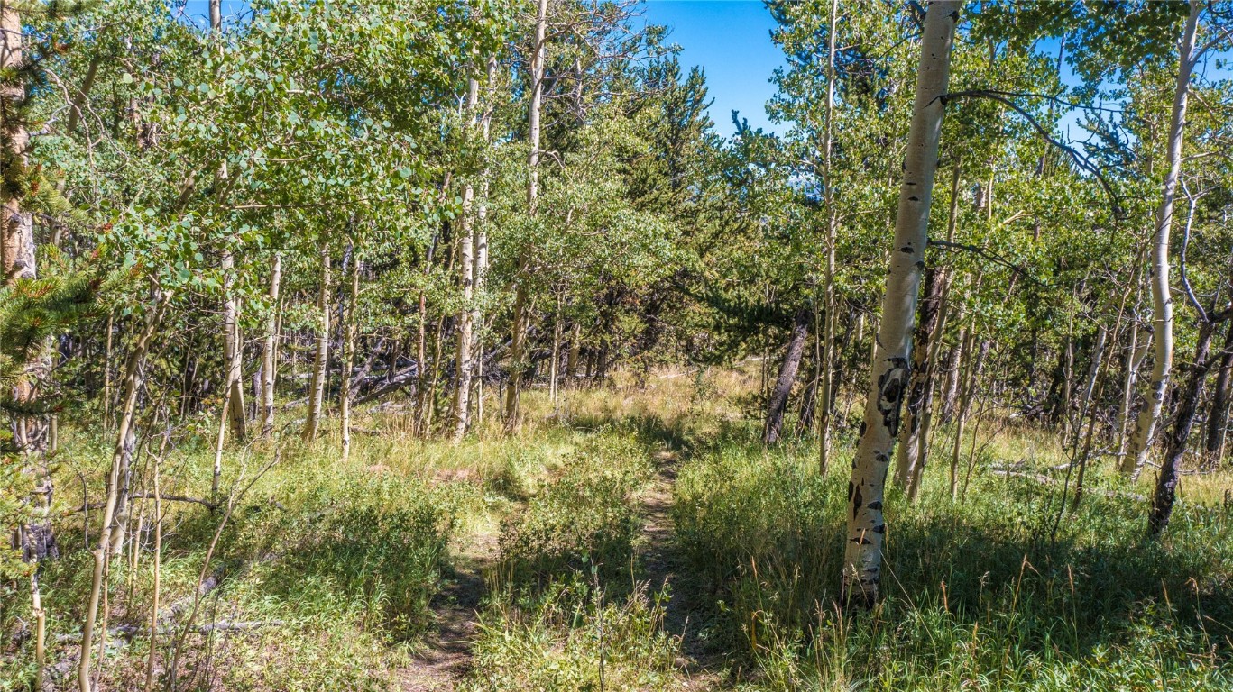 972 Lumberjack Road Fairplay, CO 80440 - Photo 20 of 25 Drive up to your dream home among a colorful aspen grove