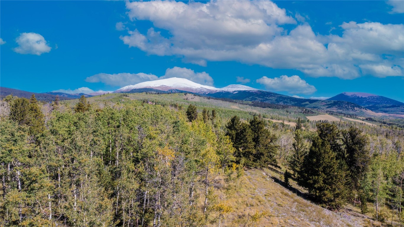 972 Lumberjack Road Fairplay, CO 80440 - Photo 2 of 25 Gallery Image 2
