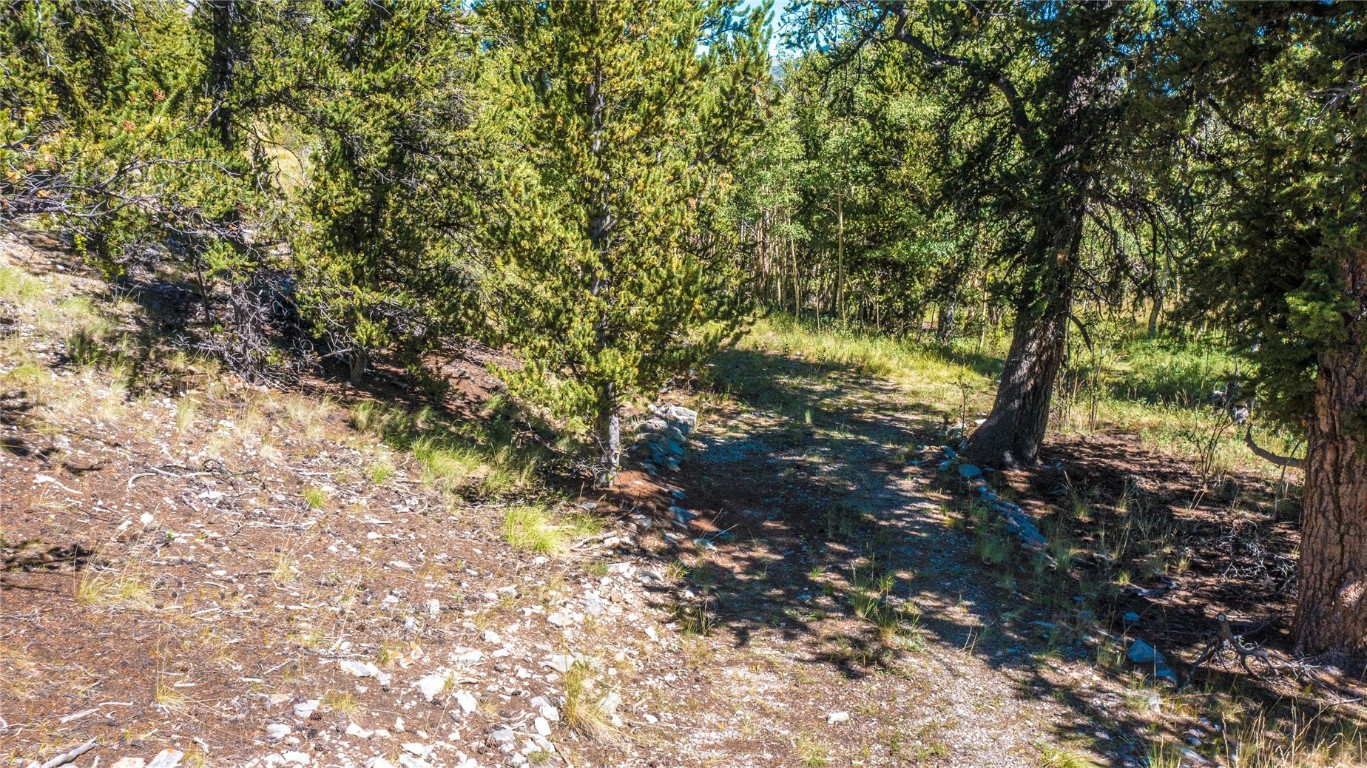 972 Lumberjack Road Fairplay, CO 80440 - Photo 22 of 25 Driveway through private woods