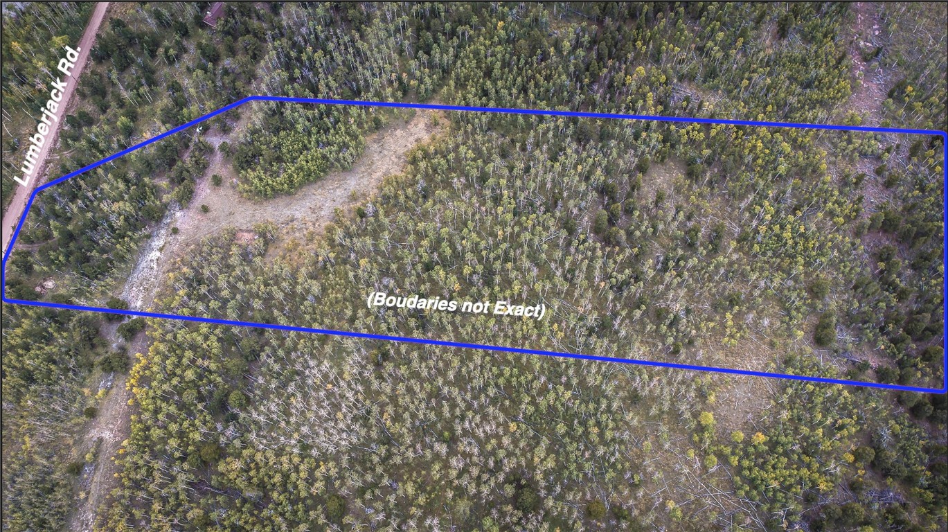 972 Lumberjack Road Fairplay, CO 80440 - Photo 24 of 25 Gallery Image 24