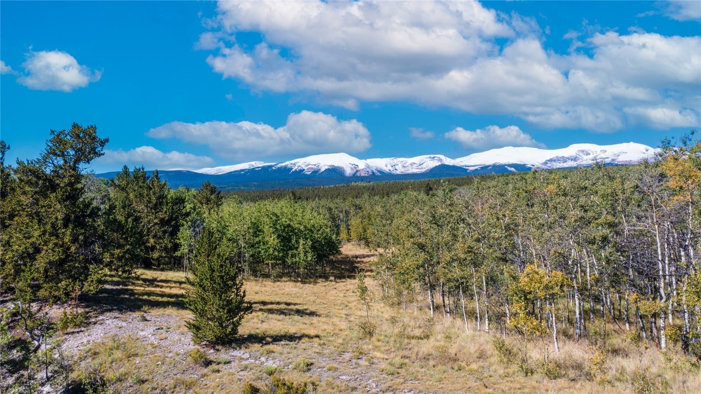 972 Lumberjack Road Fairplay, CO 80440 - Photo 3 of 25 Gallery Image 3
