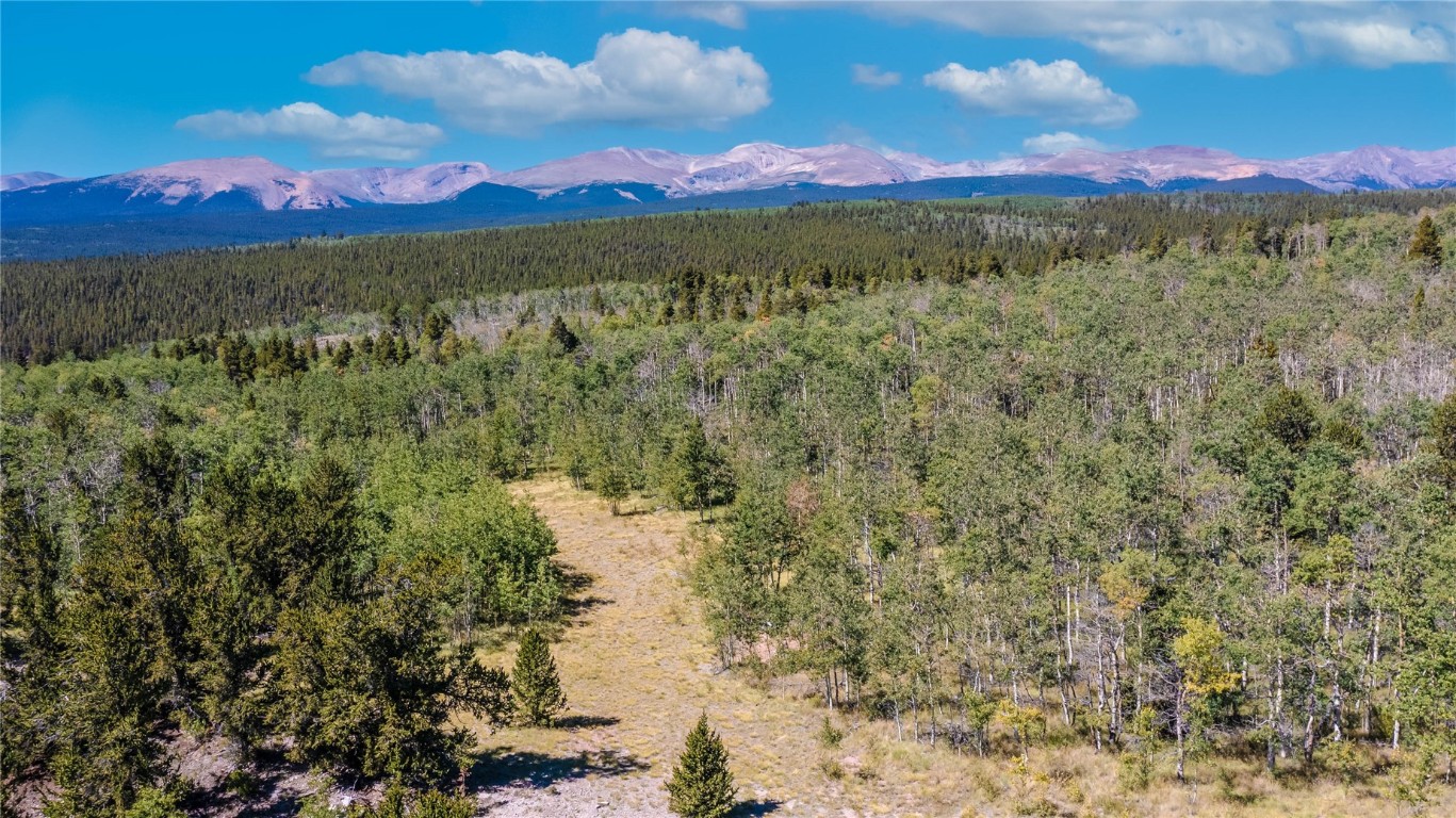 972 Lumberjack Road Fairplay, CO 80440 - Photo 4 of 25 Mosquito Mountain Range in view facing West