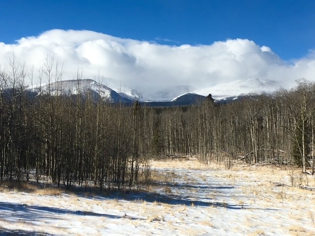 972 Lumberjack Road Fairplay, CO 80440 - Photo 6 of 25 Abundant trees and privacy surrounding
