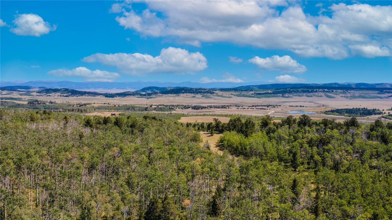 972 Lumberjack Road Fairplay, CO 80440 - Photo 9 of 25 Mountain vistas facing east