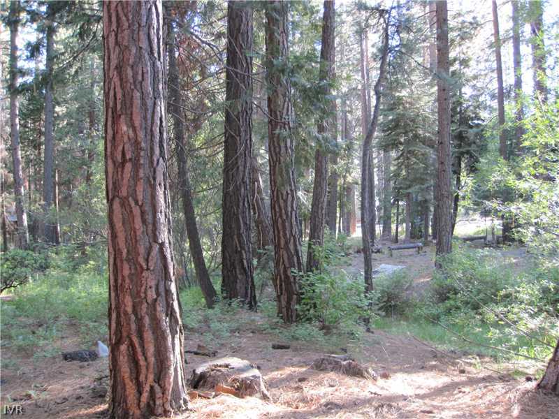 221 Tramway Road Incline Village, NV 89451 - Photo 4 of 6 Land/Lot.