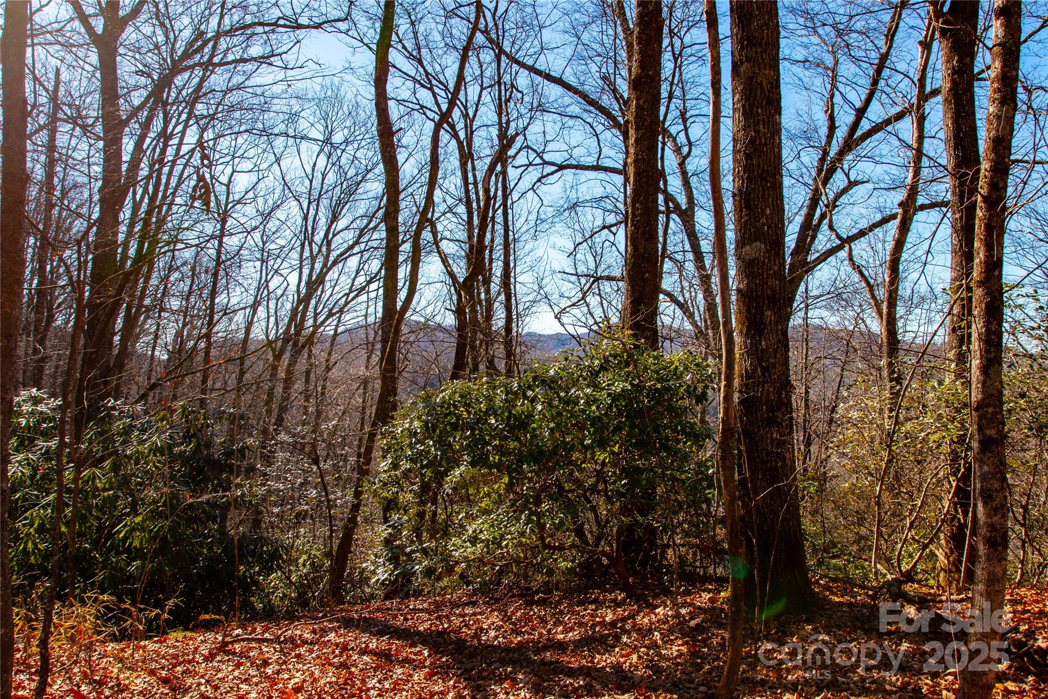 Lot 18 Joshua Road Rosman, NC 28772 - Photo 12 of 20 a backyard of a house with lots of green space