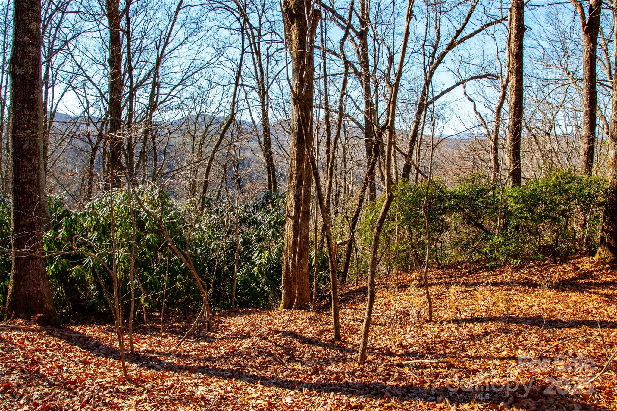 Lot 18 Joshua Road Rosman, NC 28772 - Photo 15 of 20 a backyard of a house with lots of green space