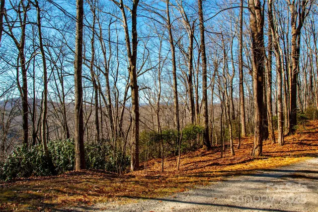 a view of a house with yard