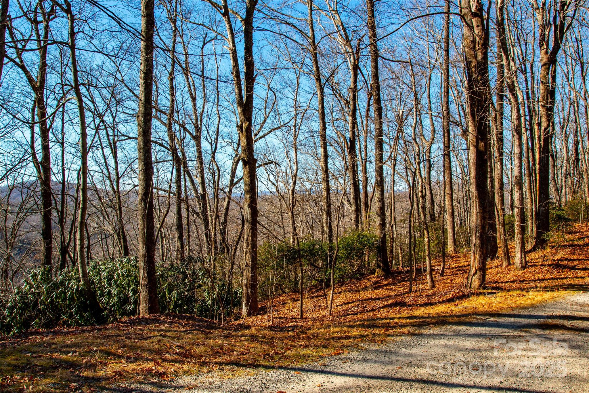 Lot 18 Joshua Road Rosman, NC 28772 - Photo 17 of 20 a view of a backyard