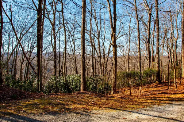 a view of a backyard of the house