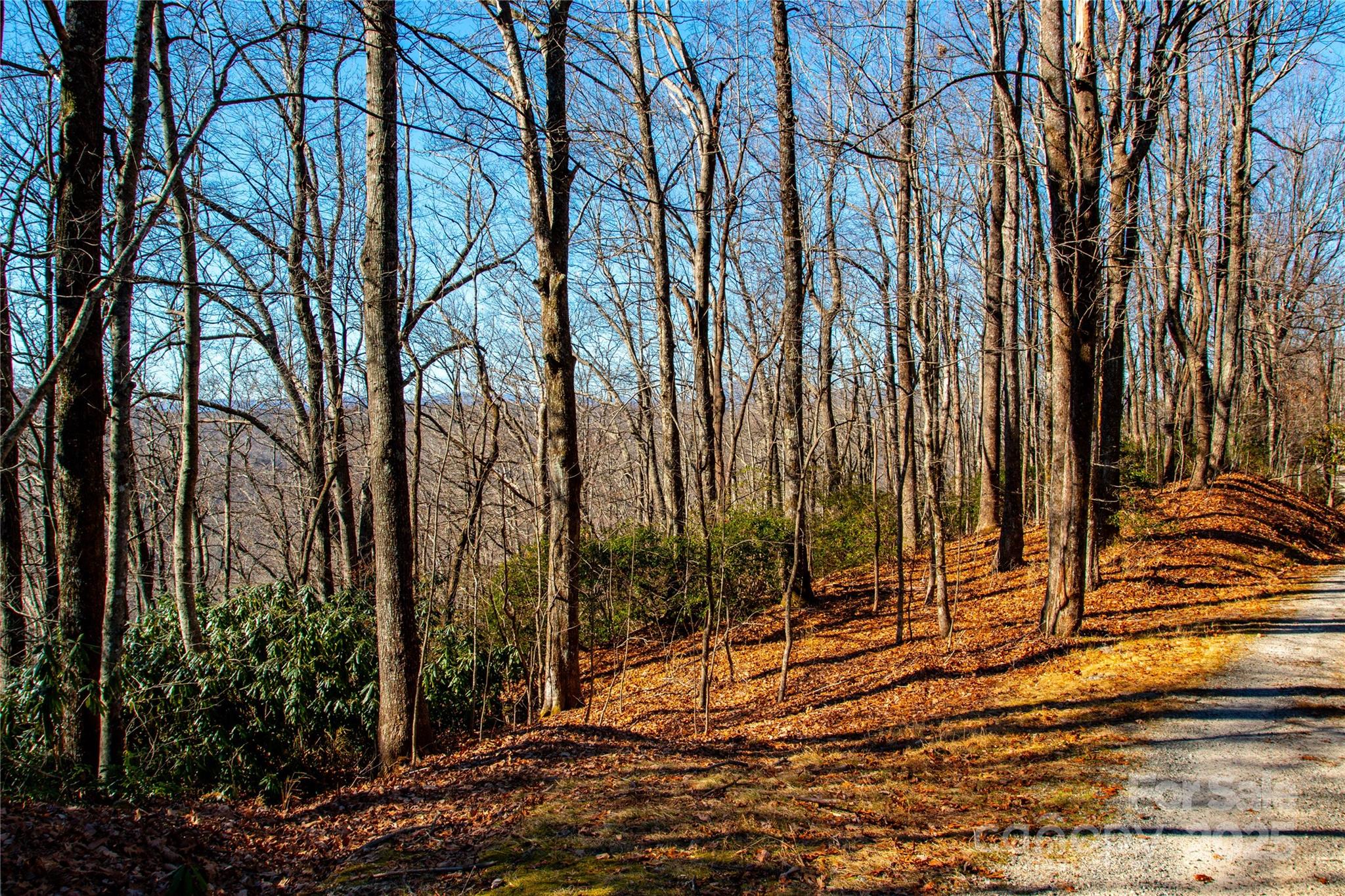 Lot 18 Joshua Road Rosman, NC 28772 - Photo 19 of 20 a view of a backyard of the house