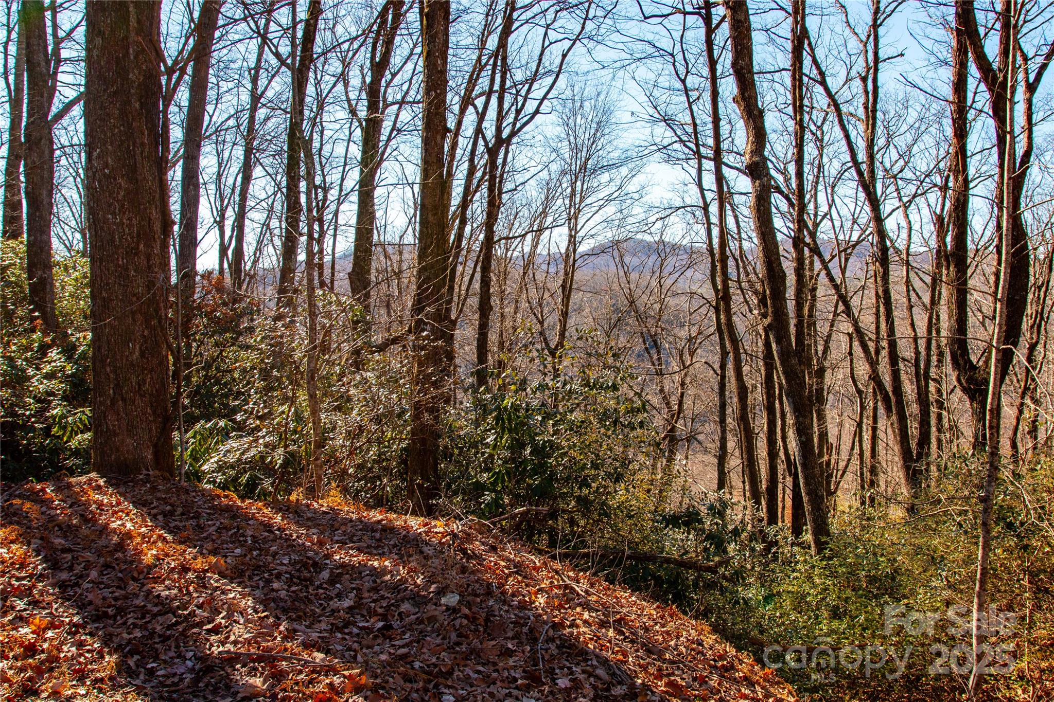 Lot 18 Joshua Road Rosman, NC 28772 - Photo 2 of 20 a backyard of a house with lots of green space