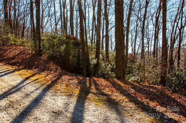 a view of outdoor space with trees