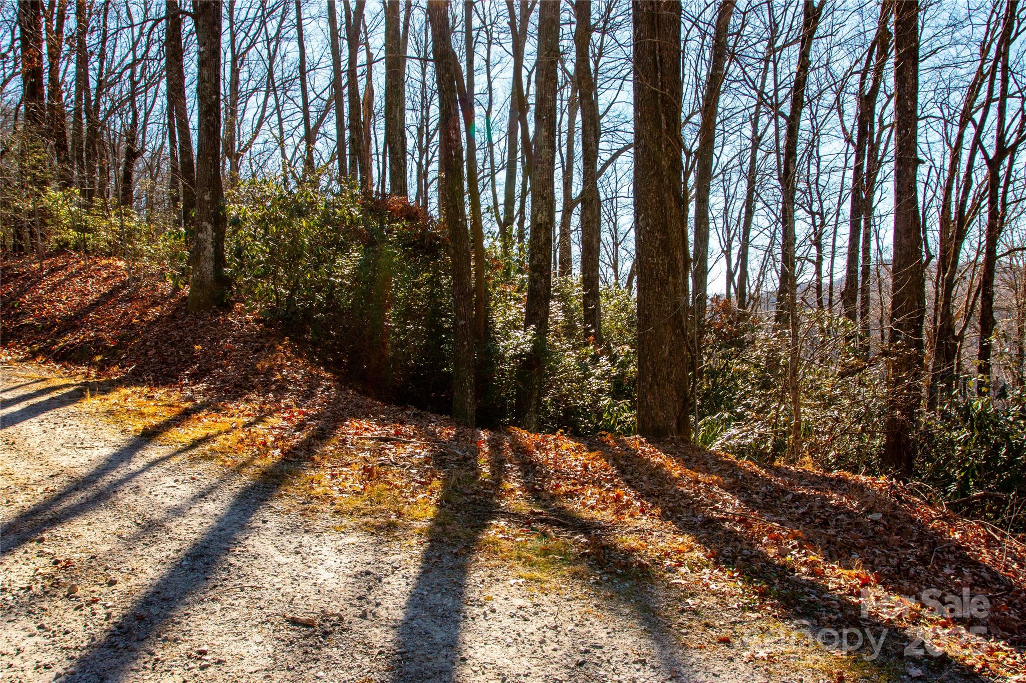 Lot 18 Joshua Road Rosman, NC 28772 - Photo 3 of 20 a view of outdoor space with trees