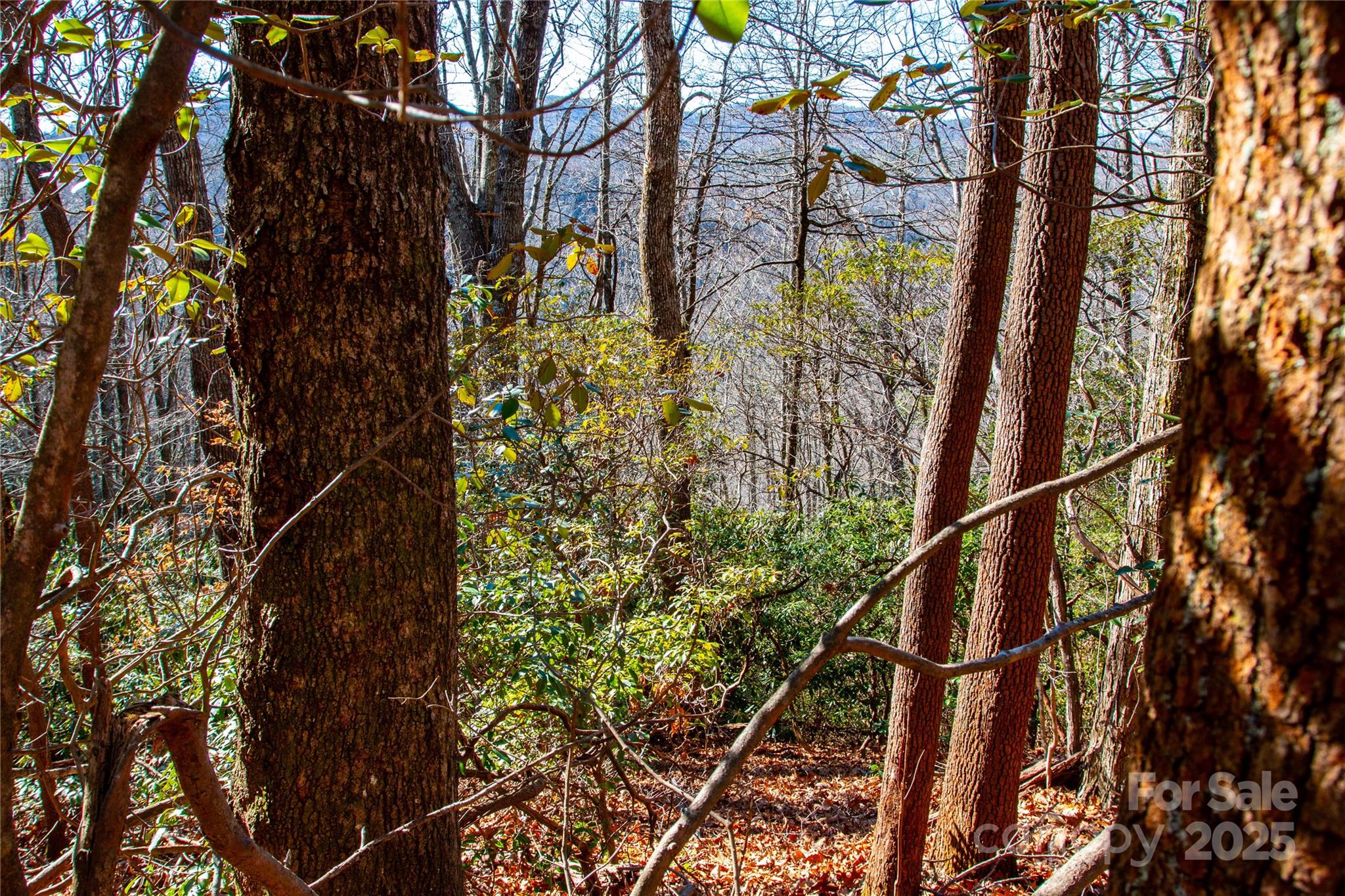 Lot 18 Joshua Road Rosman, NC 28772 - Photo 7 of 20 a backyard of a house with lots of green space