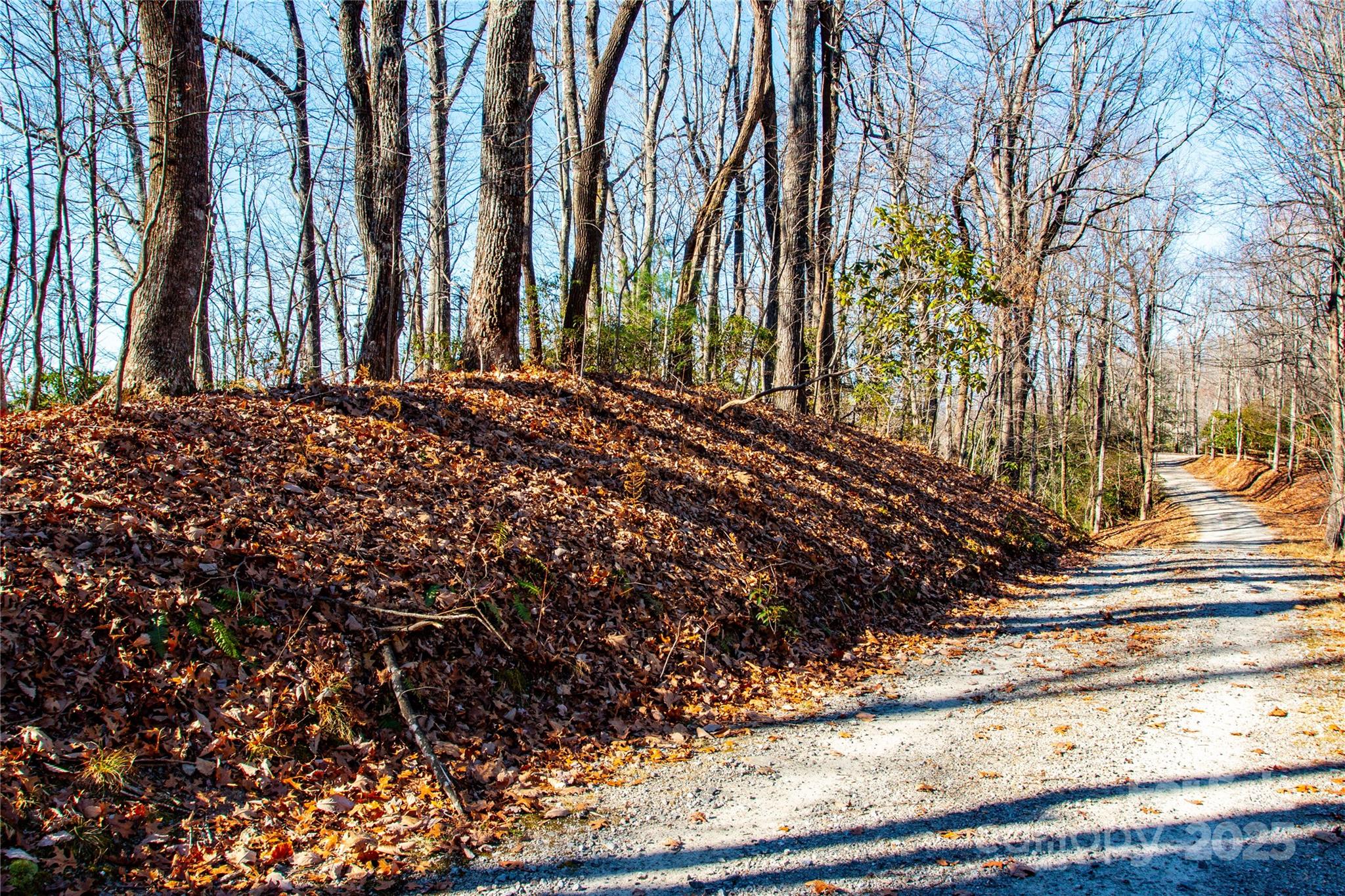 Lot 18 Joshua Road Rosman, NC 28772 - Photo 9 of 20 a view of a backyard of the house