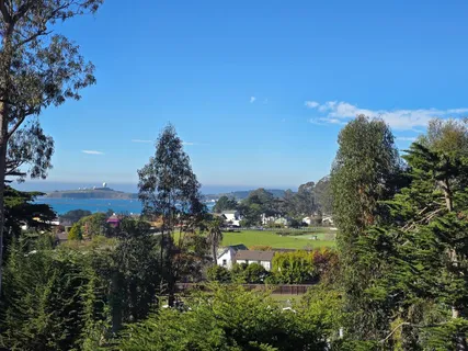 a view of a lake with a city