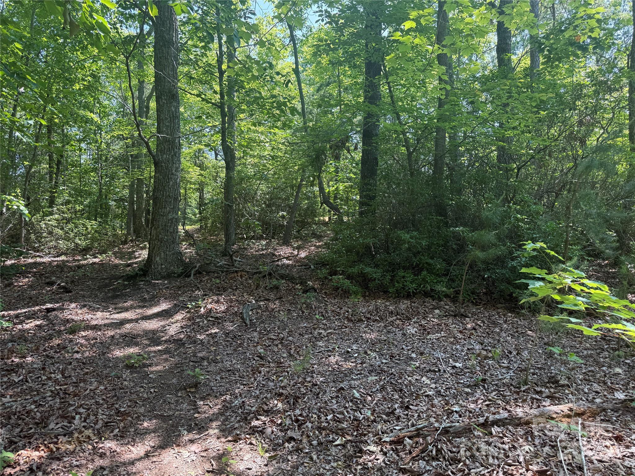 0 Cres Ridge Lane, Unit 373 Nebo, NC 28761 - Photo 11 of 31