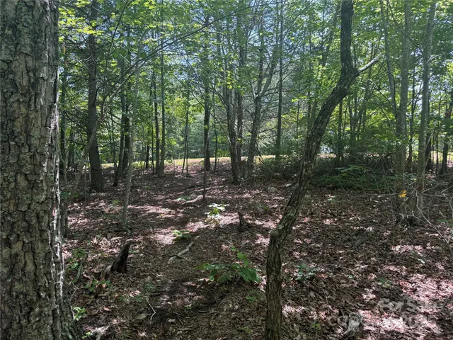 $29,900 | 0 Cres Ridge Lane, Unit 373, Nebo, NC 28761