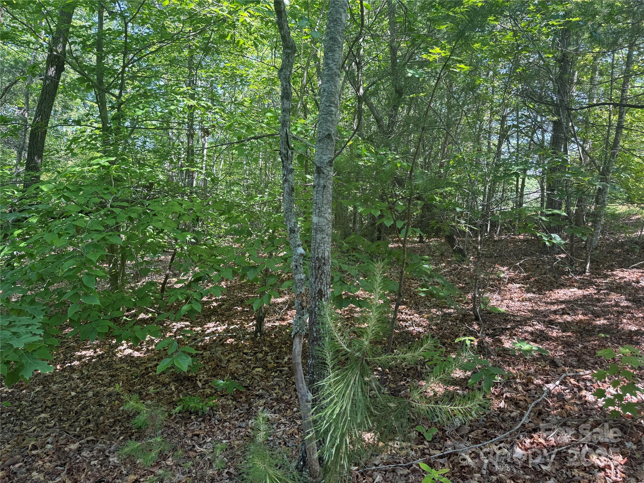 0 Cres Ridge Lane, Unit 373 Nebo, NC 28761 - Photo 13 of 31