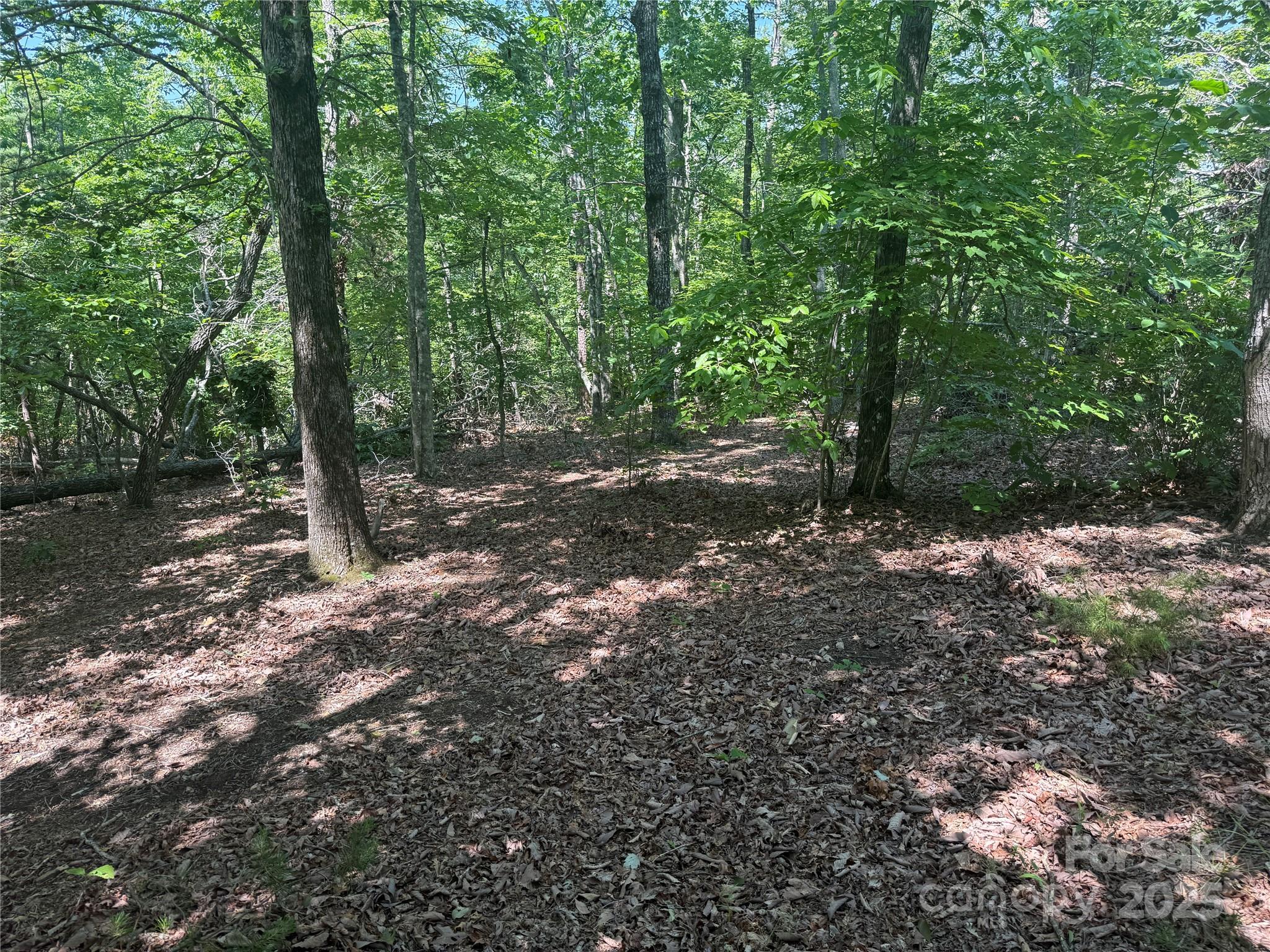 0 Cres Ridge Lane, Unit 373 Nebo, NC 28761 - Photo 14 of 31