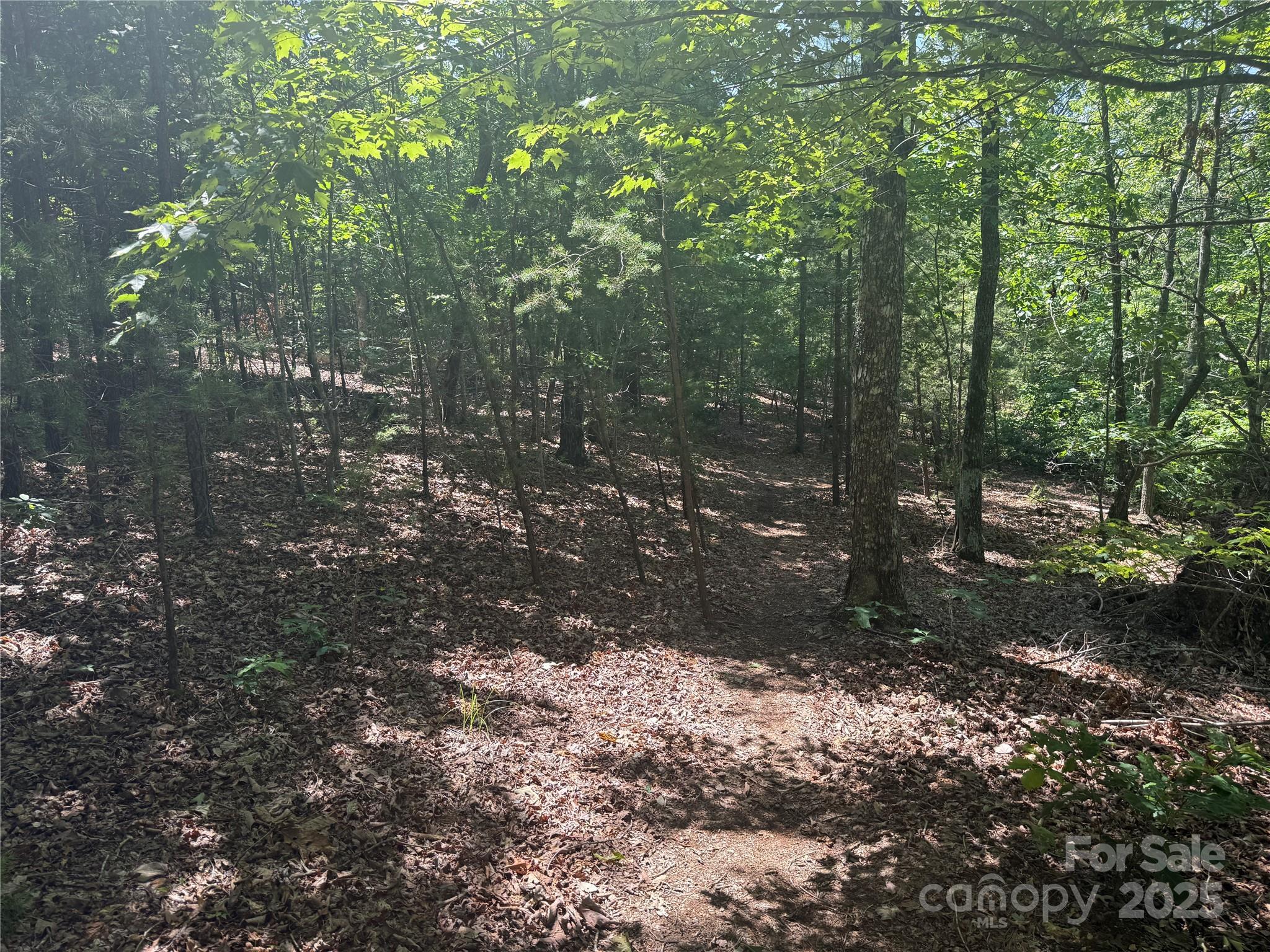 0 Cres Ridge Lane, Unit 373 Nebo, NC 28761 - Photo 15 of 31