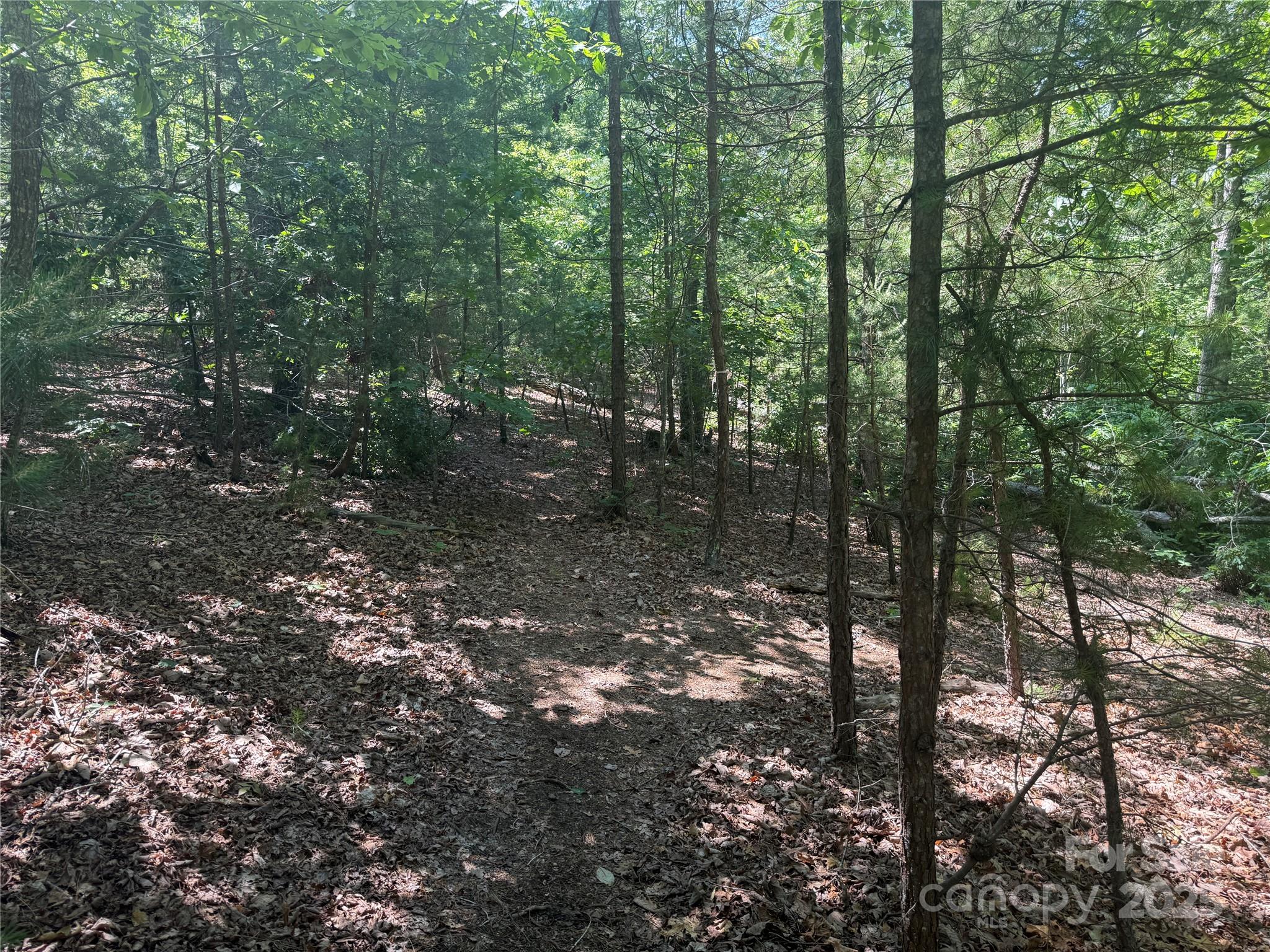 0 Cres Ridge Lane, Unit 373 Nebo, NC 28761 - Photo 17 of 31