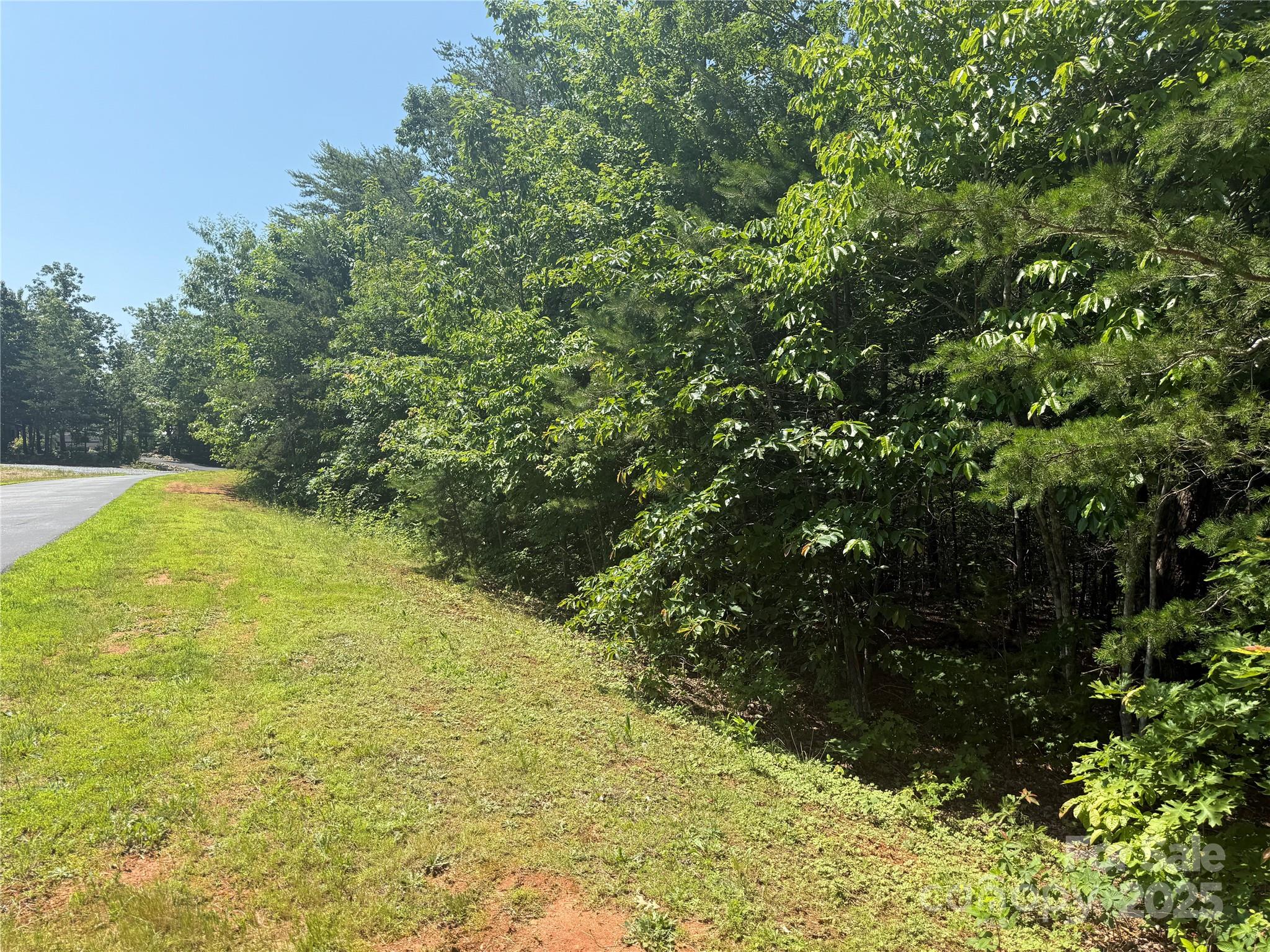 0 Cres Ridge Lane, Unit 373 Nebo, NC 28761 - Photo 19 of 31