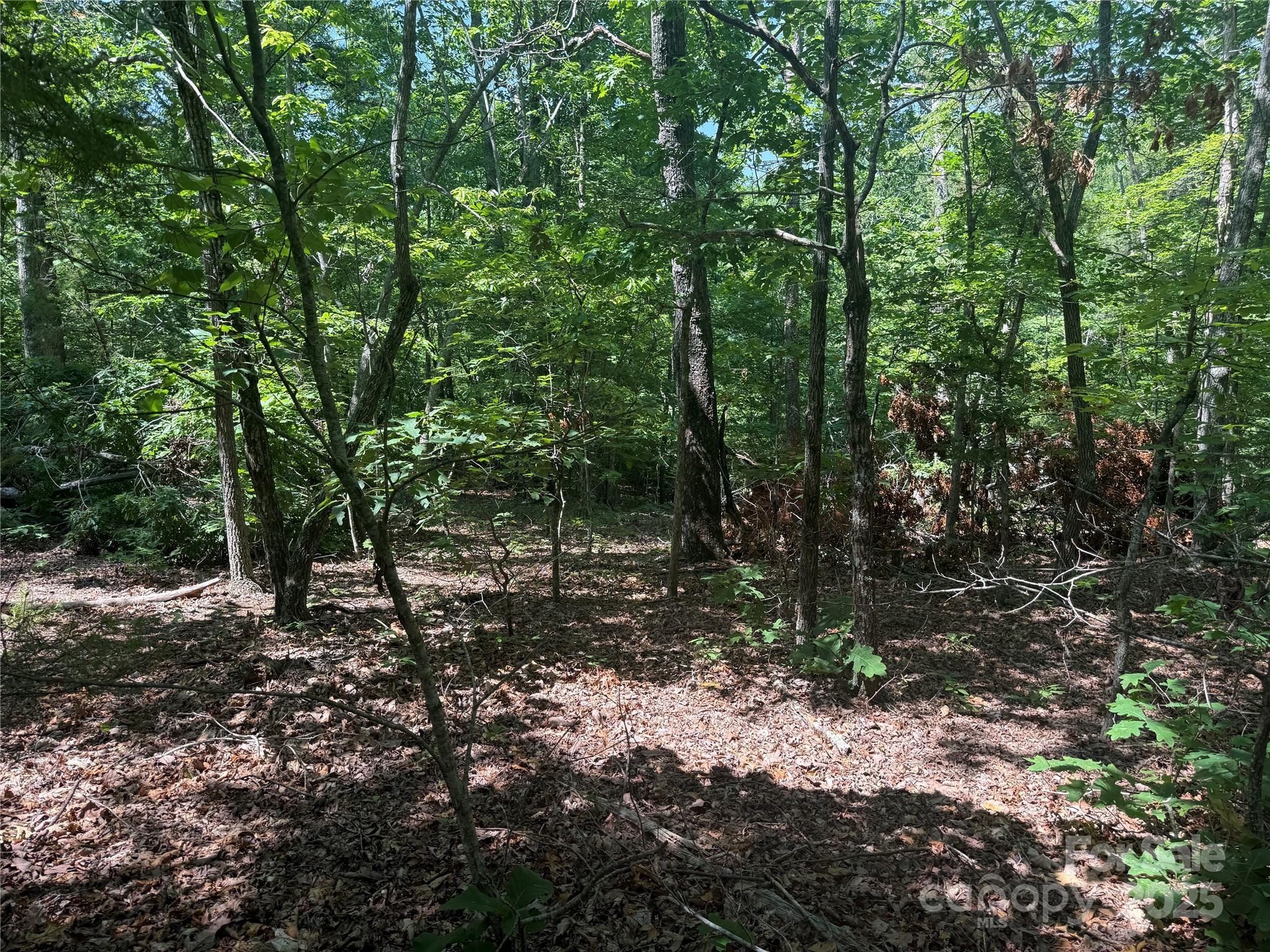 0 Cres Ridge Lane, Unit 373 Nebo, NC 28761 - Photo 2 of 31