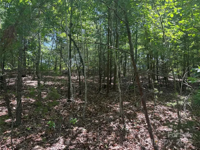 $29,900 | 0 Cres Ridge Lane, Unit 373, Nebo, NC 28761