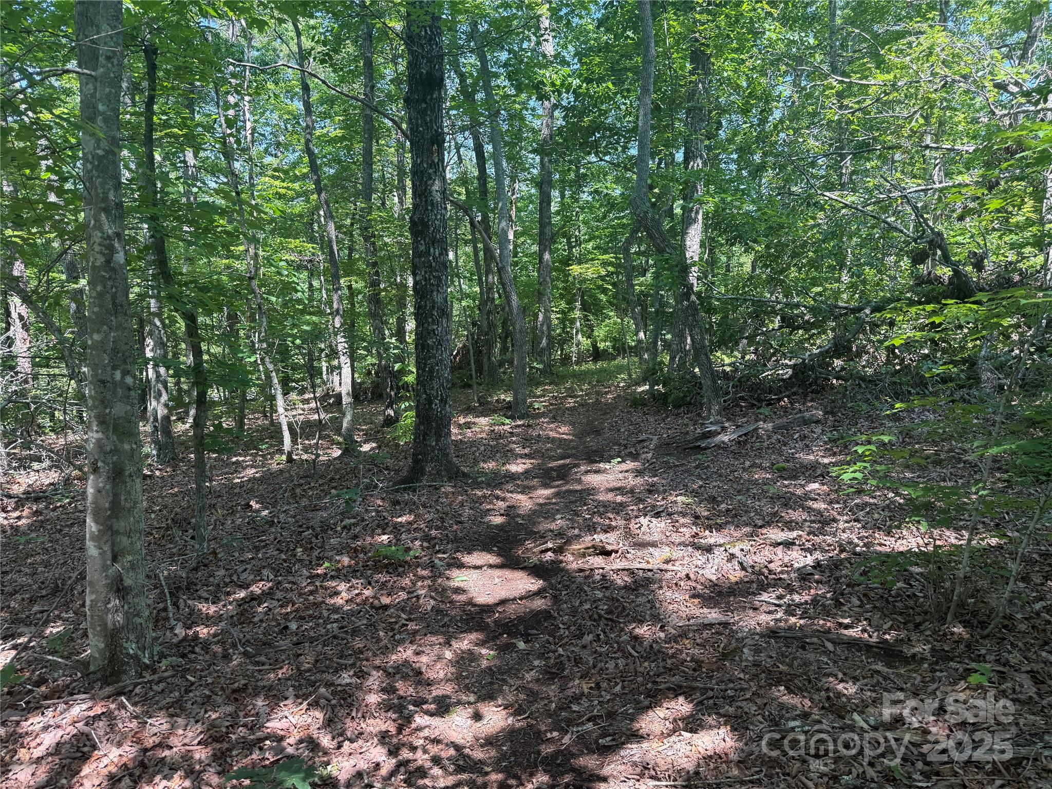 0 Cres Ridge Lane, Unit 373 Nebo, NC 28761 - Photo 5 of 31