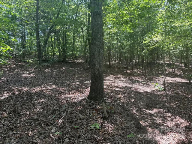 $29,900 | 0 Cres Ridge Lane, Unit 373, Nebo, NC 28761