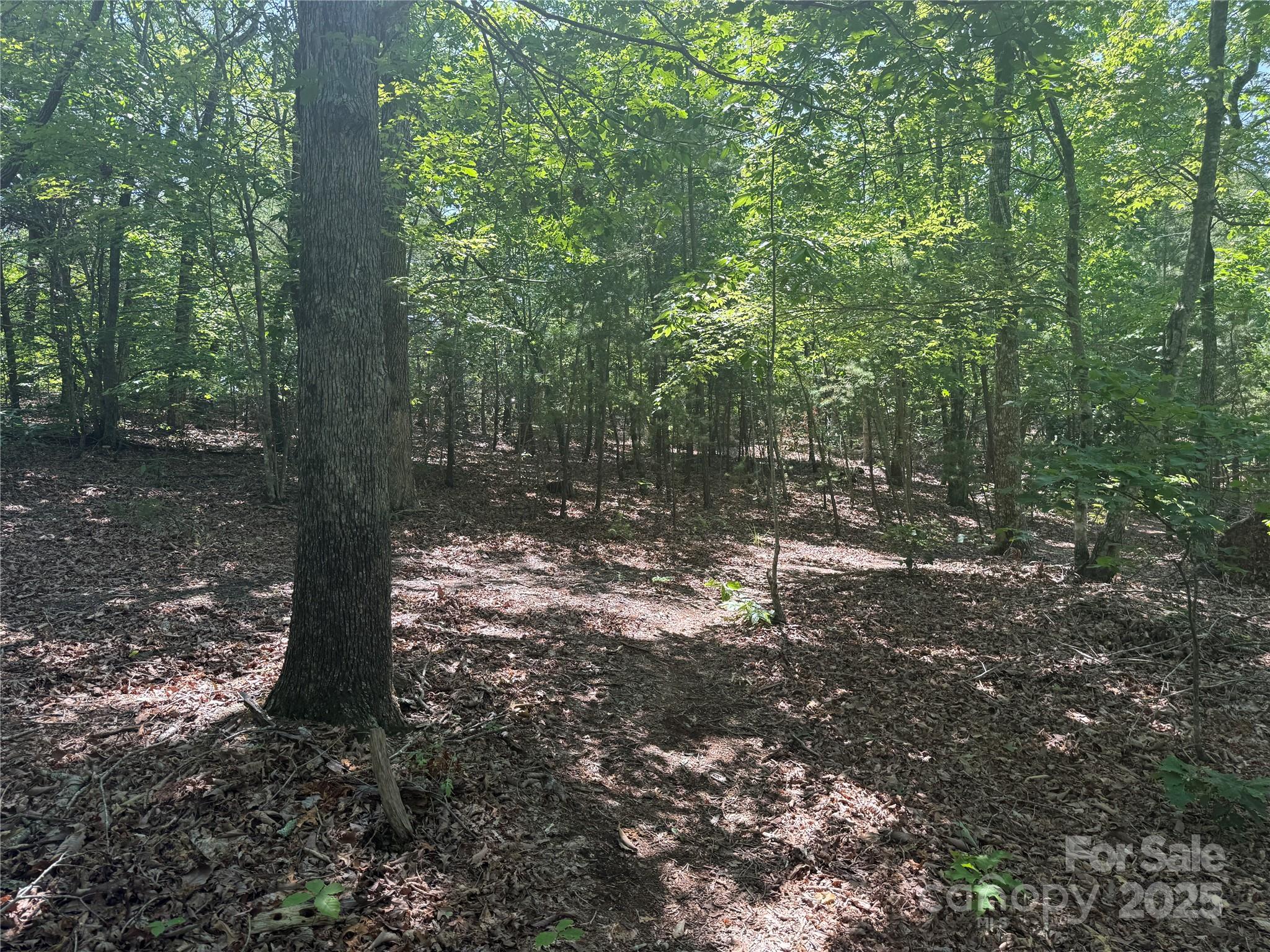 0 Cres Ridge Lane, Unit 373 Nebo, NC 28761 - Photo 7 of 31