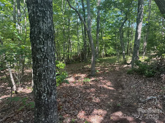 $29,900 | 0 Cres Ridge Lane, Unit 373, Nebo, NC 28761