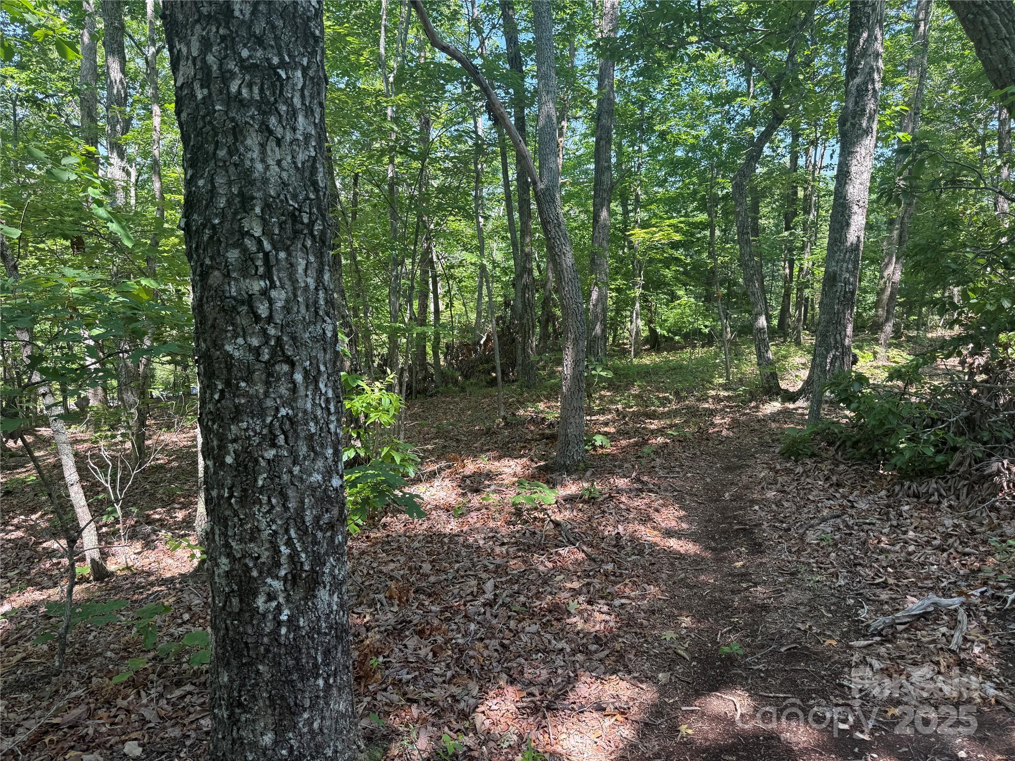 0 Cres Ridge Lane, Unit 373 Nebo, NC 28761 - Photo 8 of 31