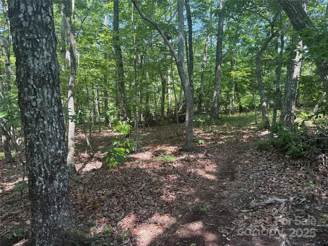 $29,900 | 0 Cres Ridge Lane, Unit 373, Nebo, NC 28761