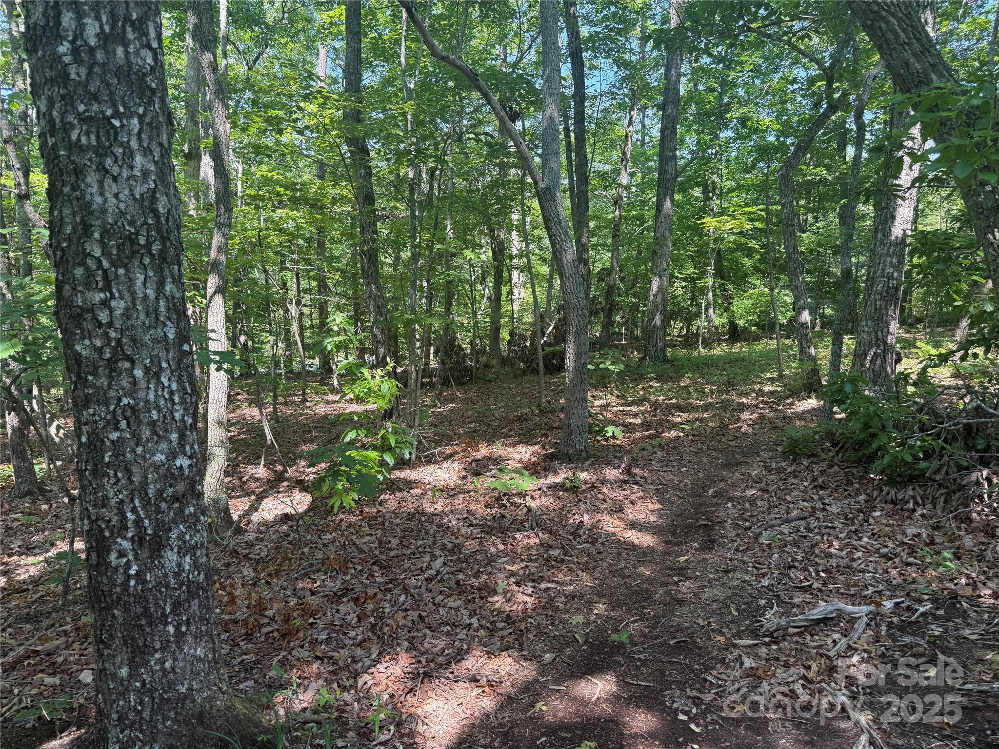 0 Cres Ridge Lane, Unit 373 Nebo, NC 28761 - Photo 9 of 31