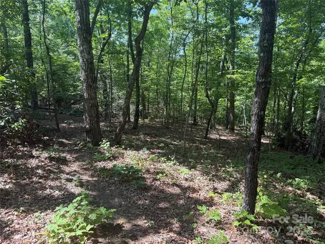 $29,900 | 0 Cres Ridge Lane, Unit 373, Nebo, NC 28761