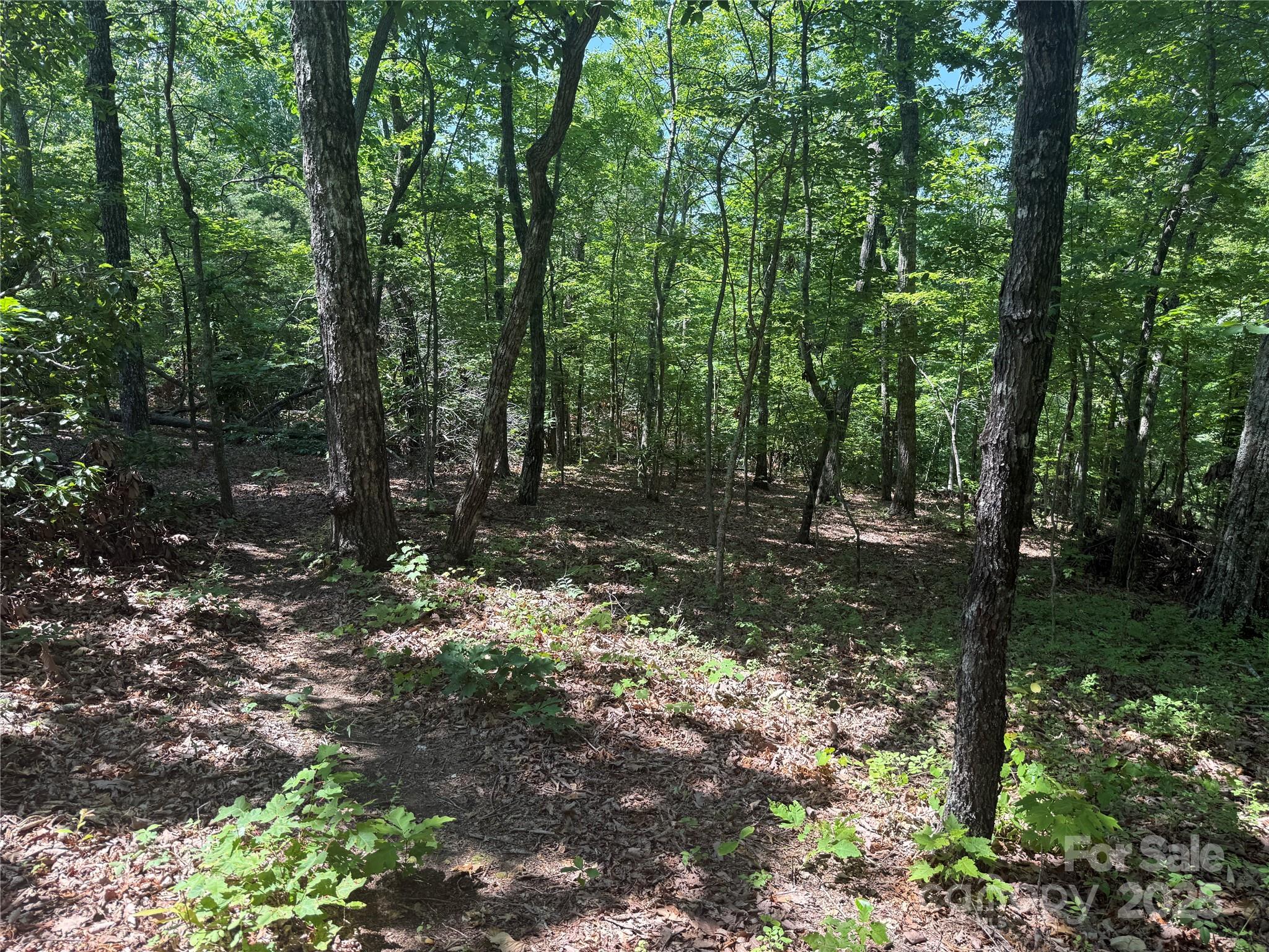 0 Cres Ridge Lane, Unit 373 Nebo, NC 28761 - Photo 10 of 31