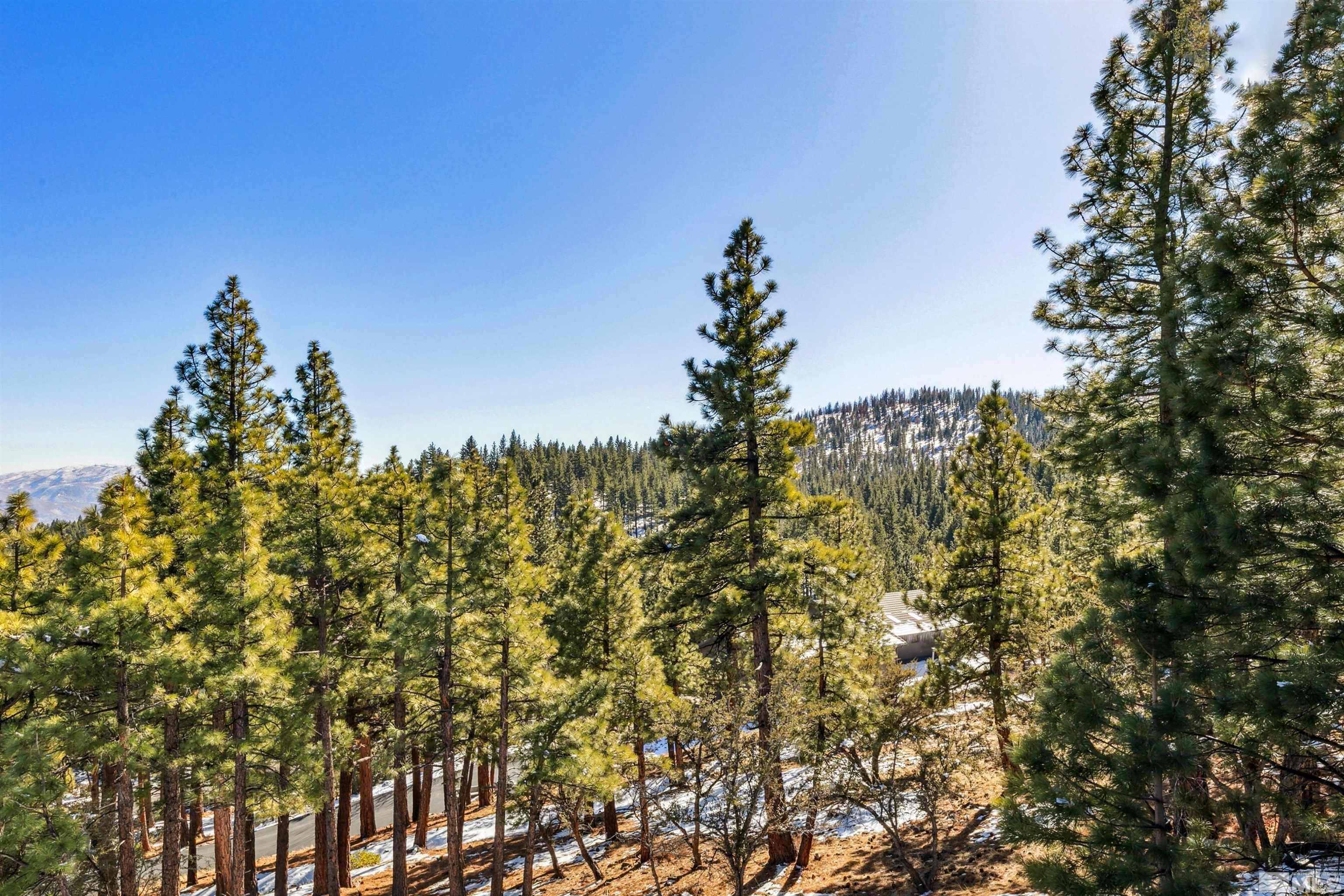 1695 Green Ash Drive Reno, NV 89511 - Photo 37 of 38 Photo 39