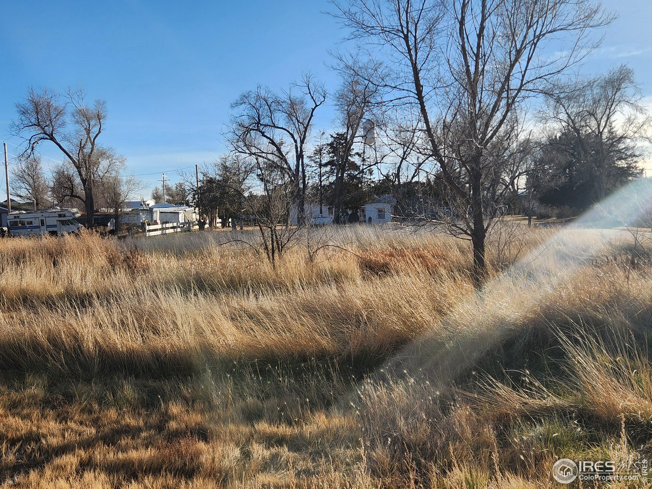 3rd Street Crook, CO 80726 - Photo 5 of 12 a view of a yard with a tree
