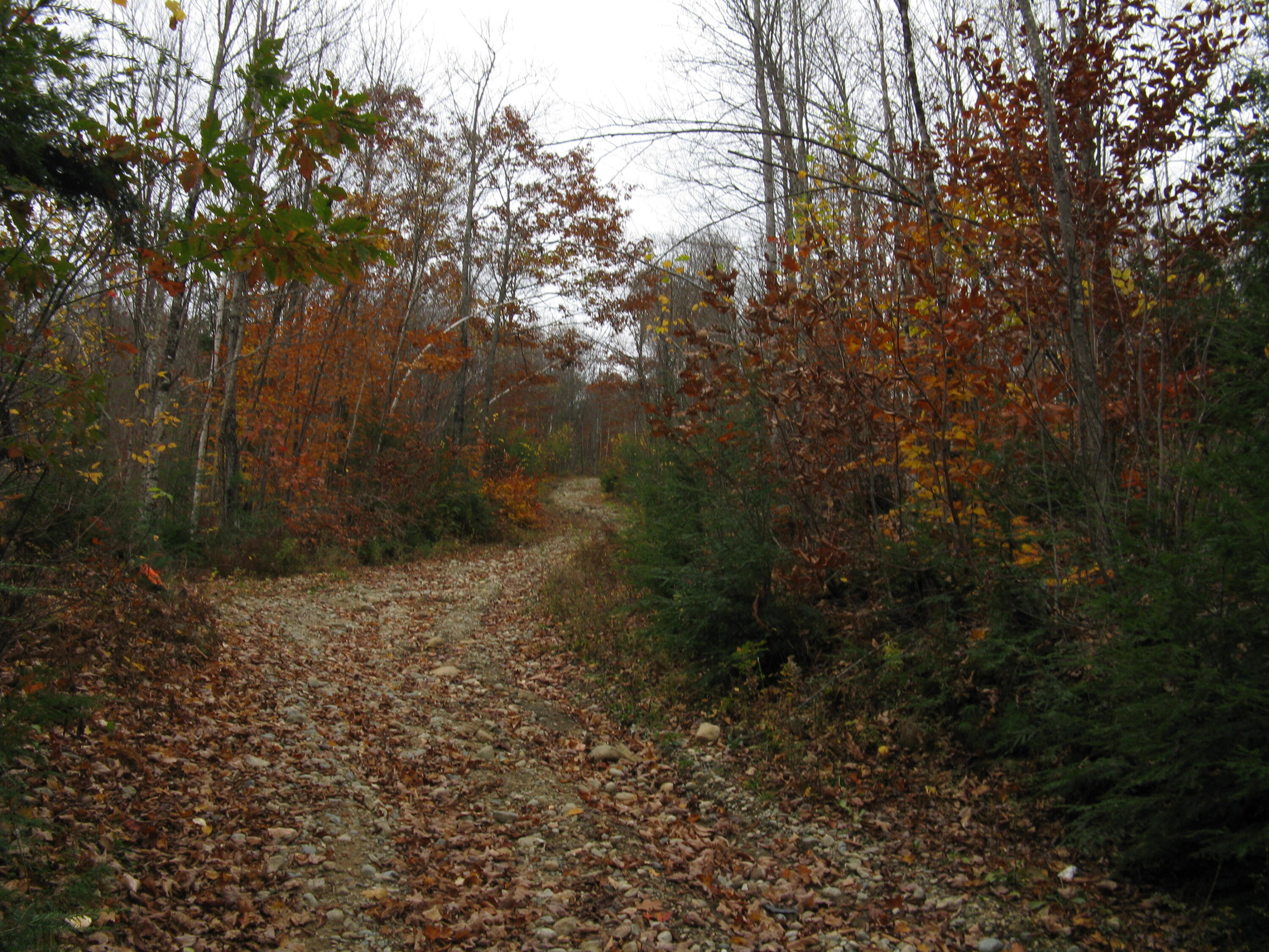 04 Map Road Peru, ME 04290 - Photo 16 of 18 IMG_2589